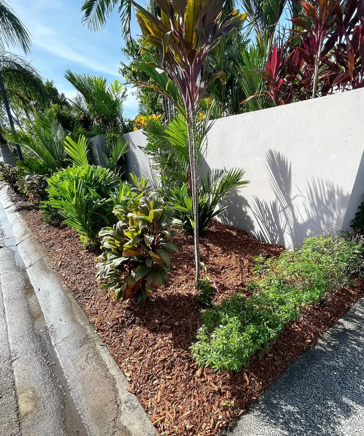 Mulching by Local Dad Lawn & Garden in Palm Cove, Cairns