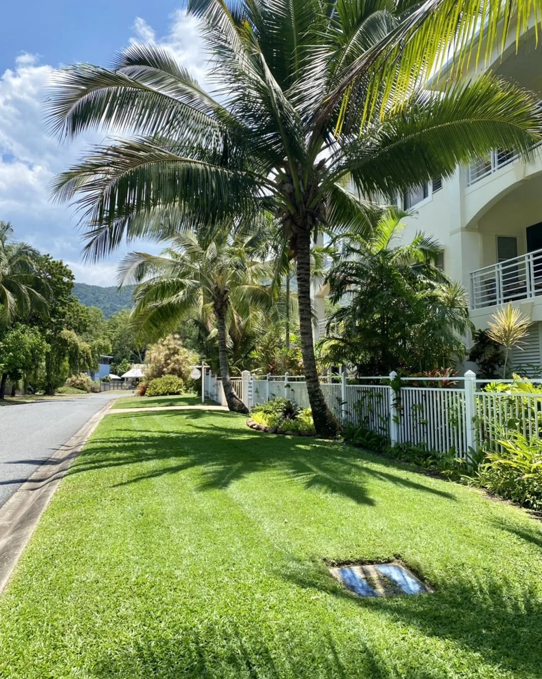 Lawn maintenance for Body Corporate in Clifton Beach by Local Dad Lawn & Garden