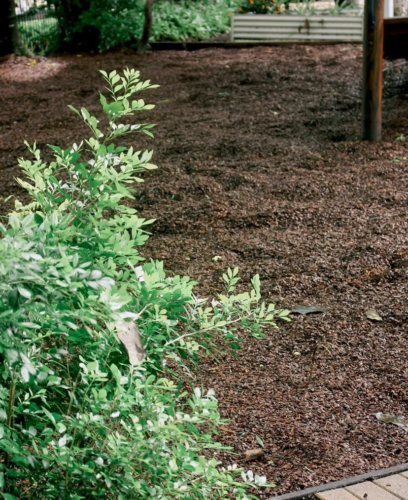 Soft bark installation at kindergarten in Yorkeys Knob by Local Dad Lawn & Garden