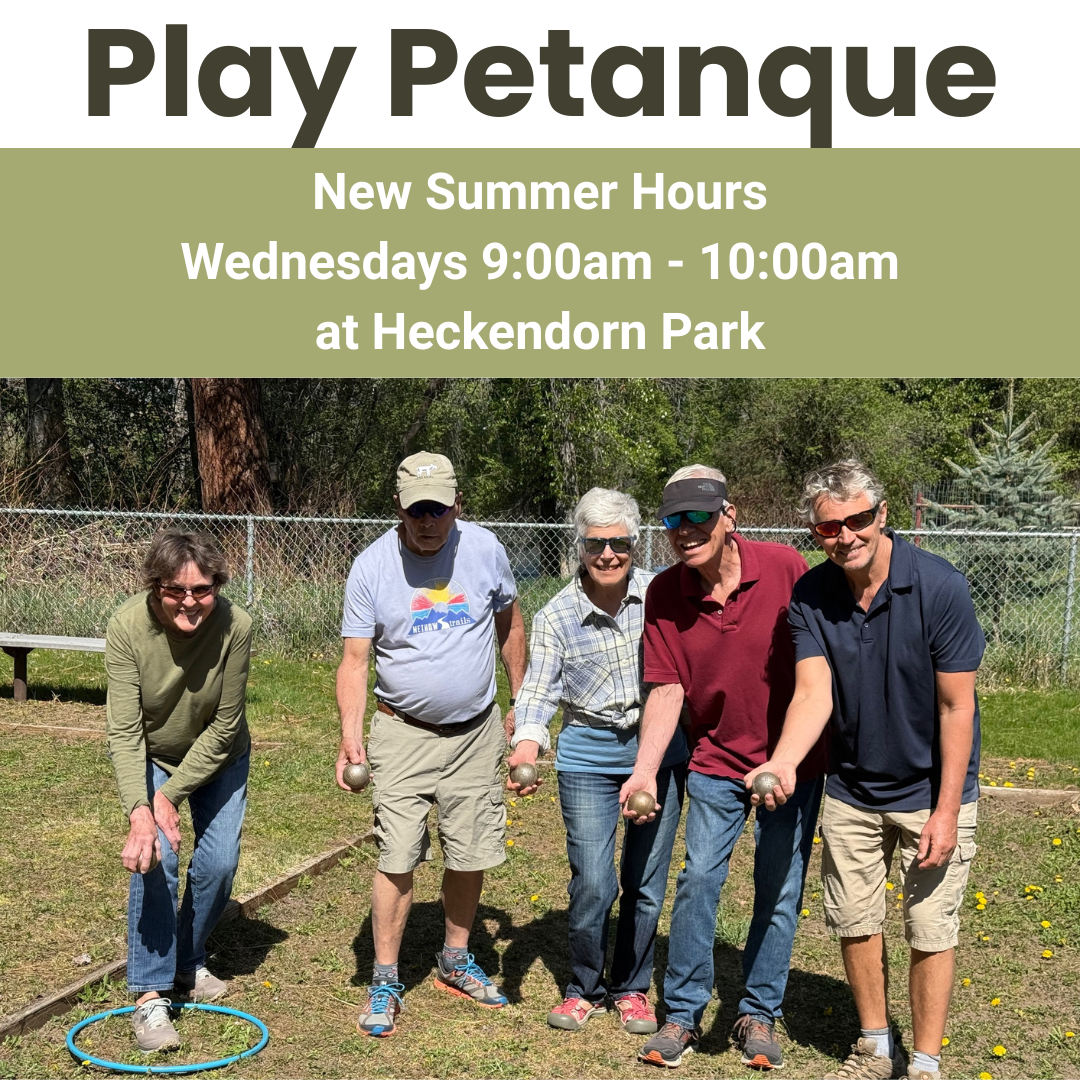 Play Petanque