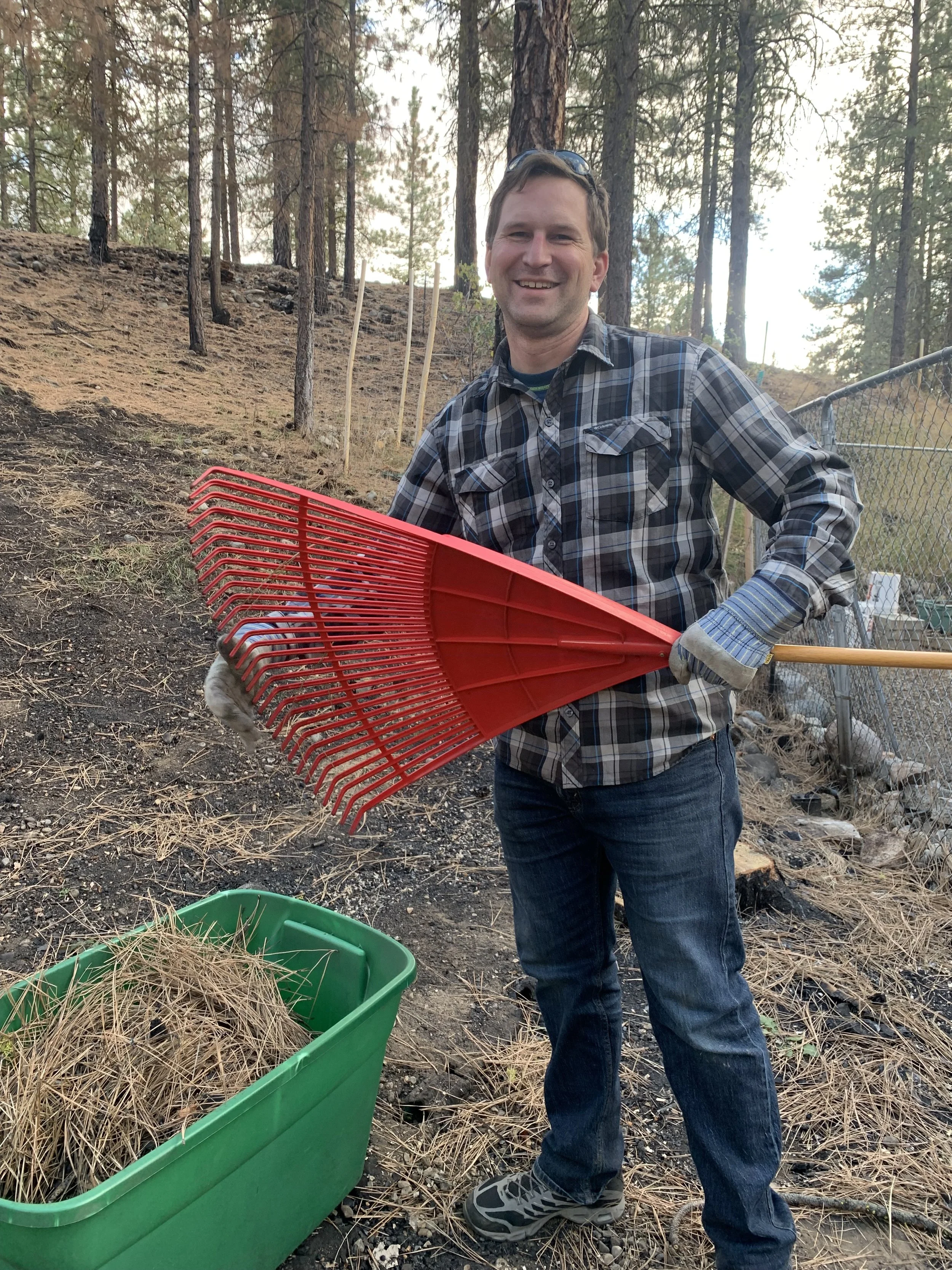 Person standing with a rake and nearby pile of pine needles