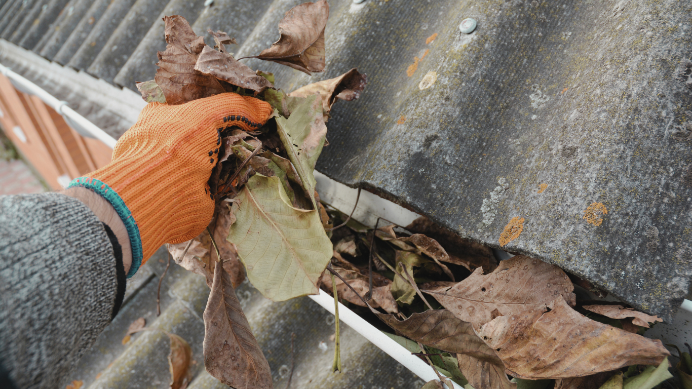 Person wearing an orange glove and gray coat cleaning dead leaves from a gutter on a rooftop.
