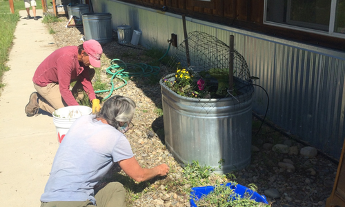 2 people sitting on the ground weeding a flower bed