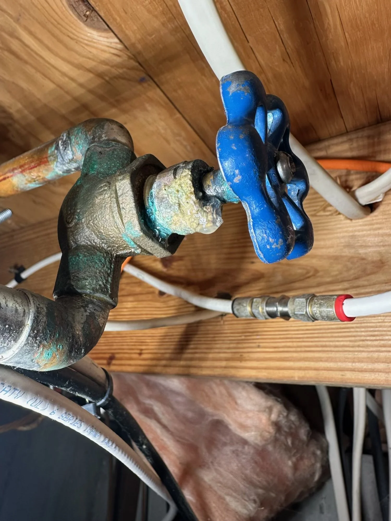 Close-up of a corroded water valve with a blue handle connected to pipes and hoses against a wooden wall.