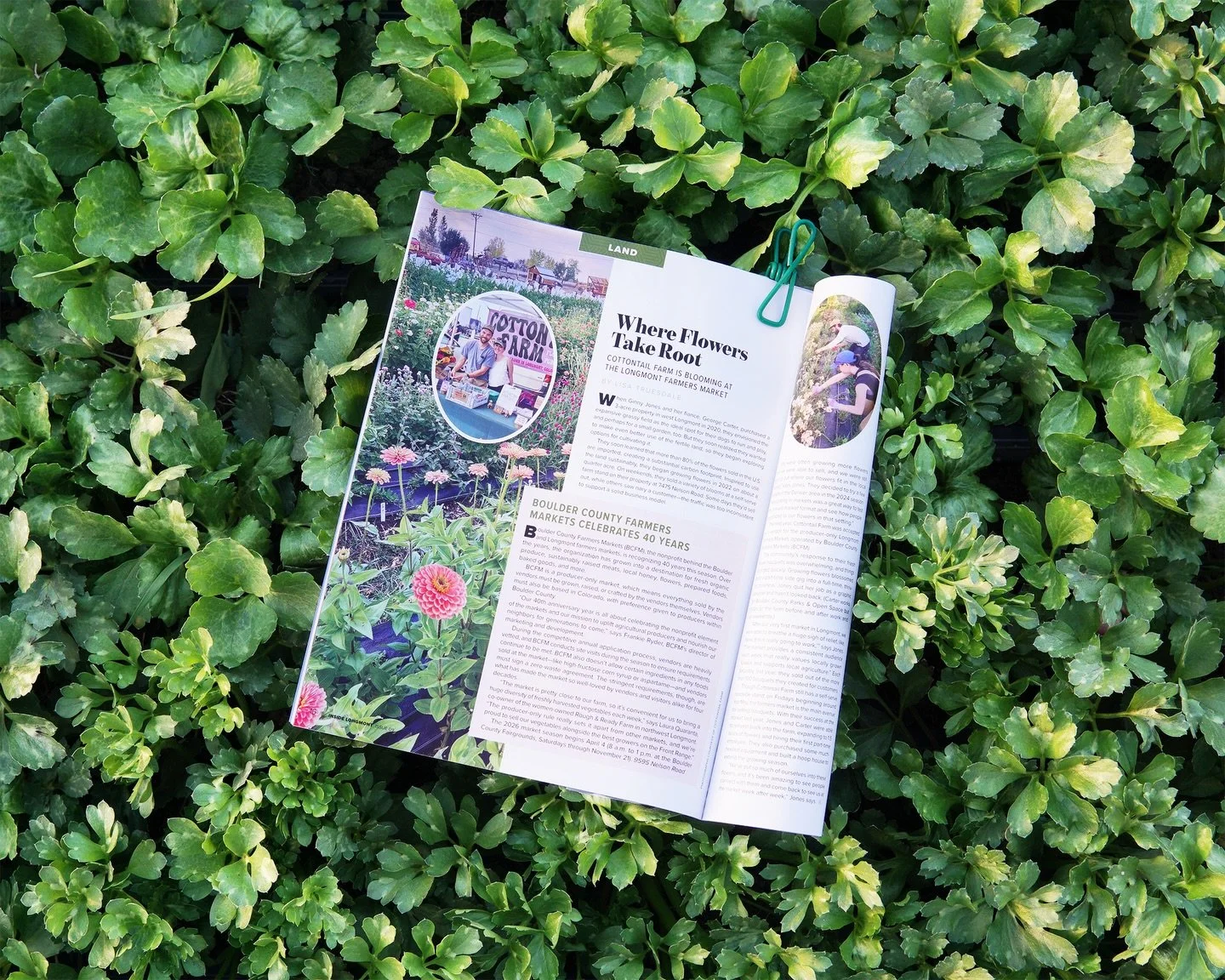 Huge thank you to @insidelongmont for featuring us in their latest issue! It&rsquo;s really special to see our farm story in print. Swipe ➡️ to read more about our experience with @bcfm @longmontfarmersmarket Can&rsquo;t wait for our market season to