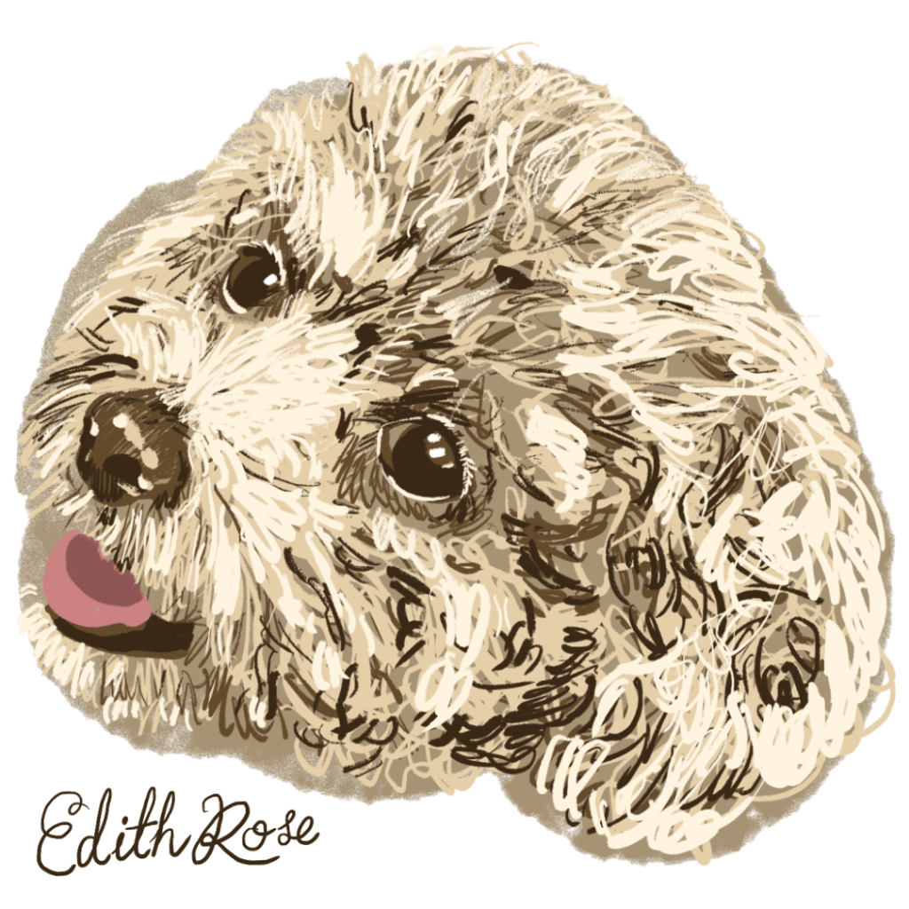 Edie for insta.gif