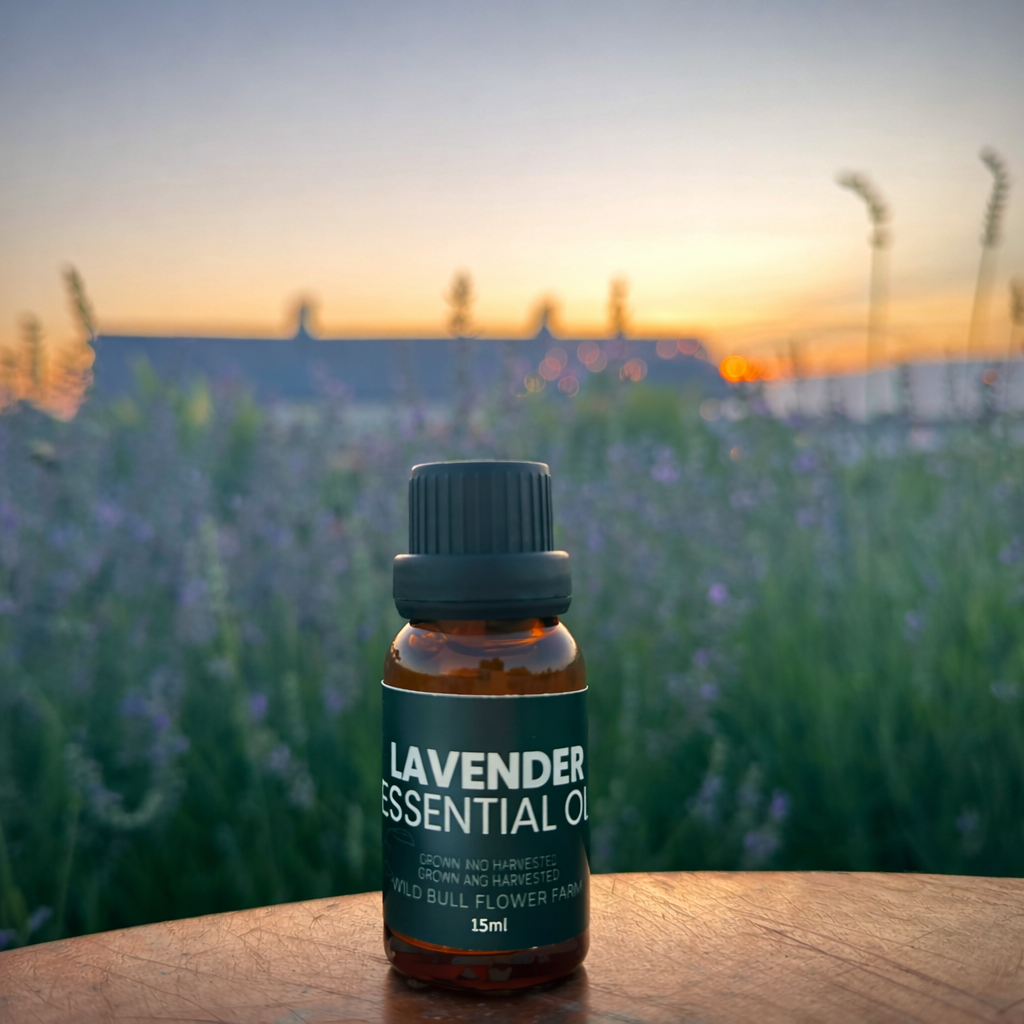 Lavender Essential Oil