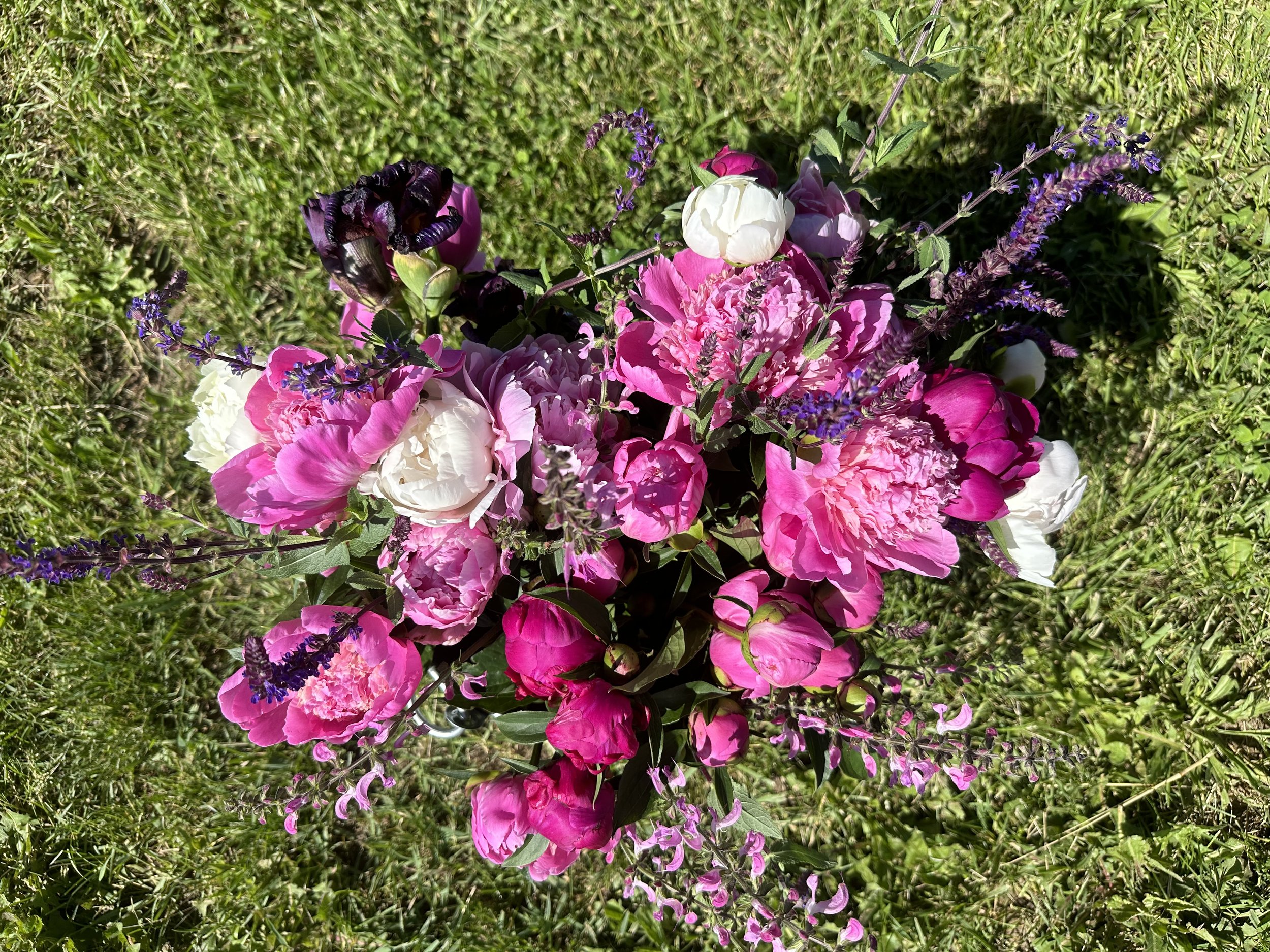 IMG_2449.jpeg
