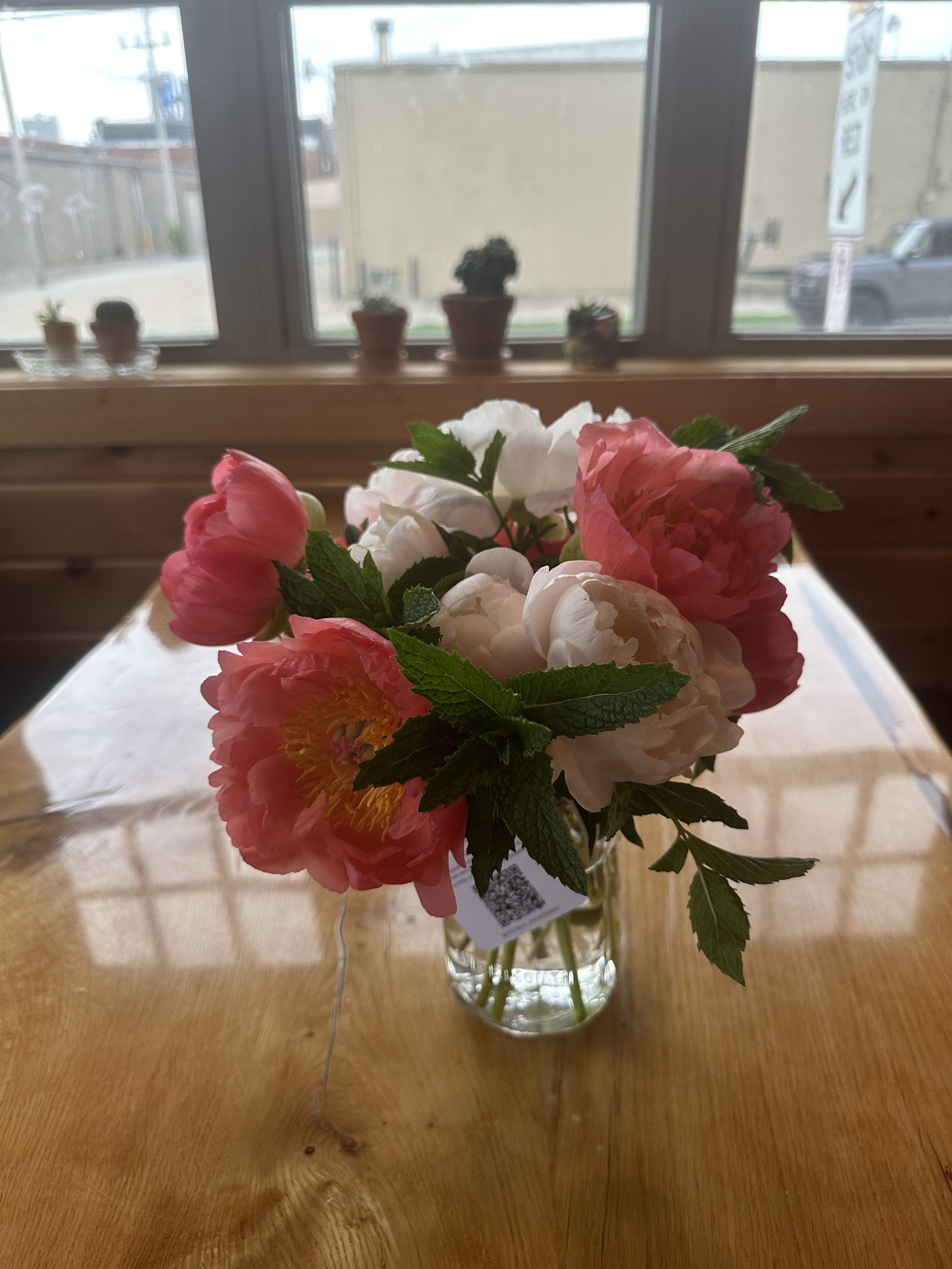 IMG_2388.jpeg
