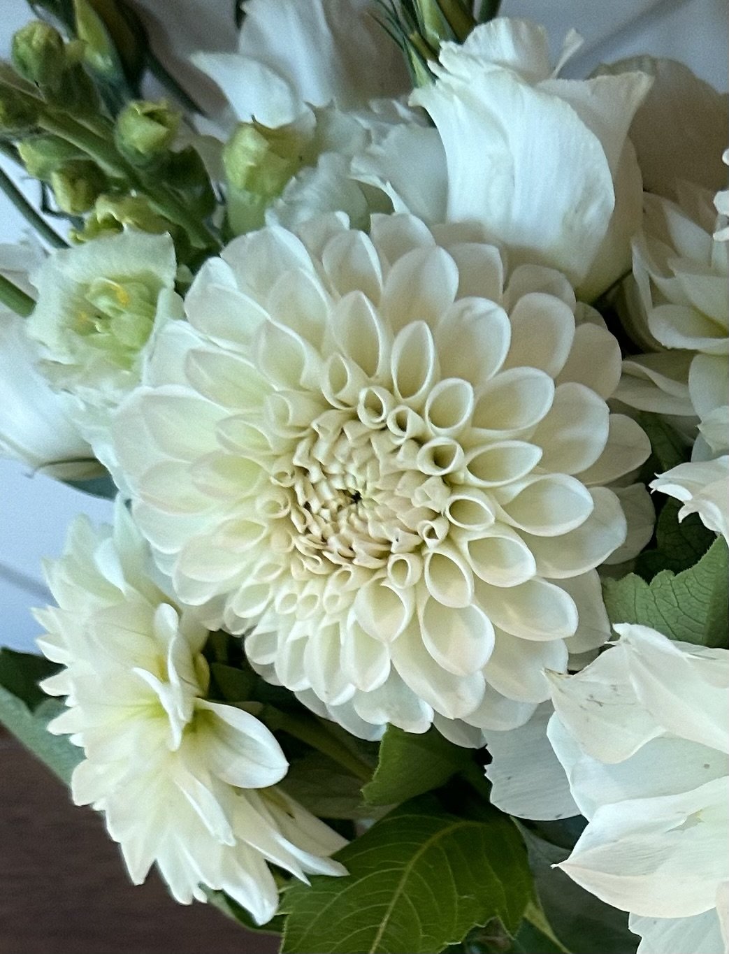 Boom Boom White