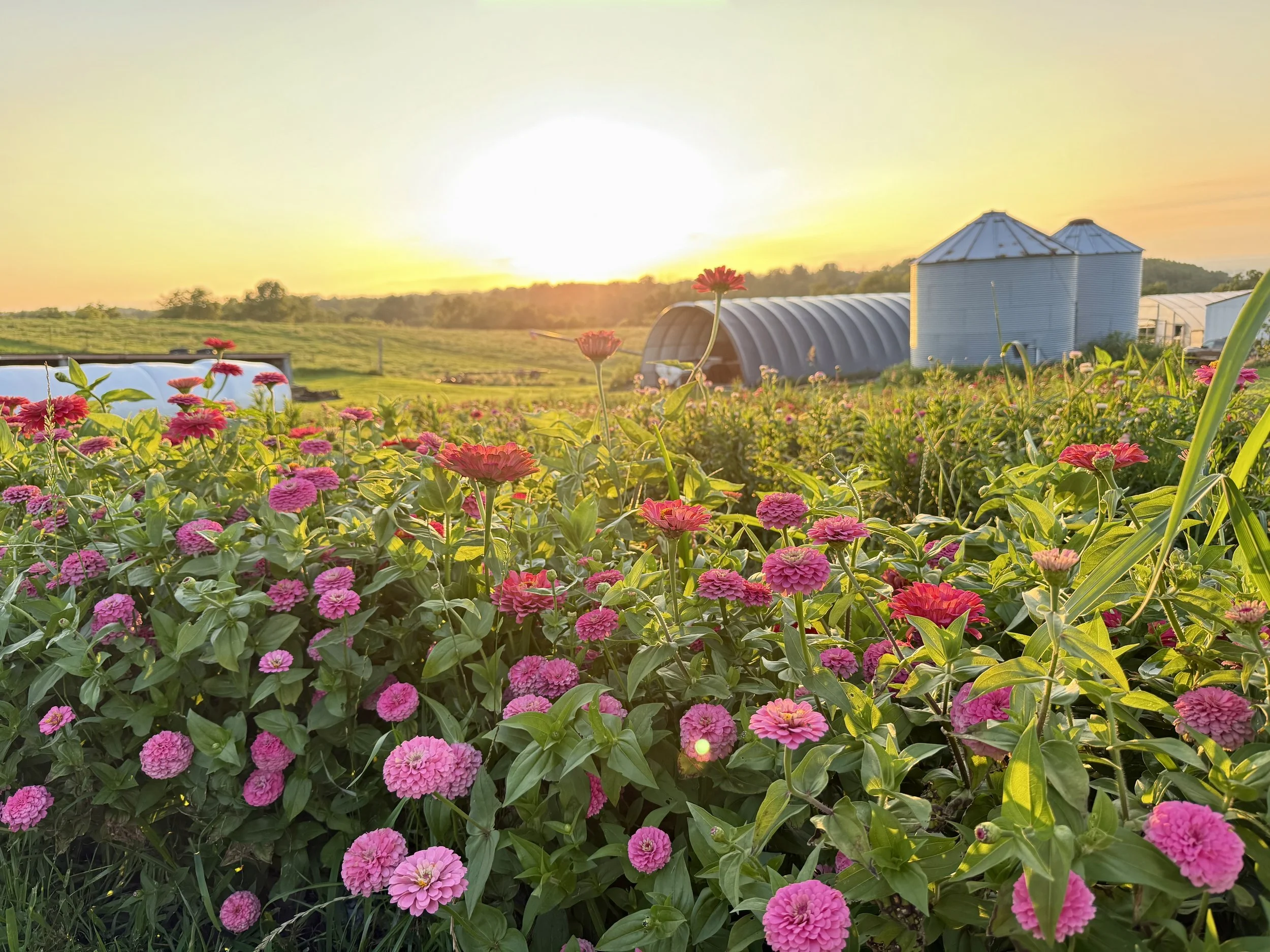 Summer You Pick & Candle Pour - Wednesday, August 5th 5:00 - 8:00 pm