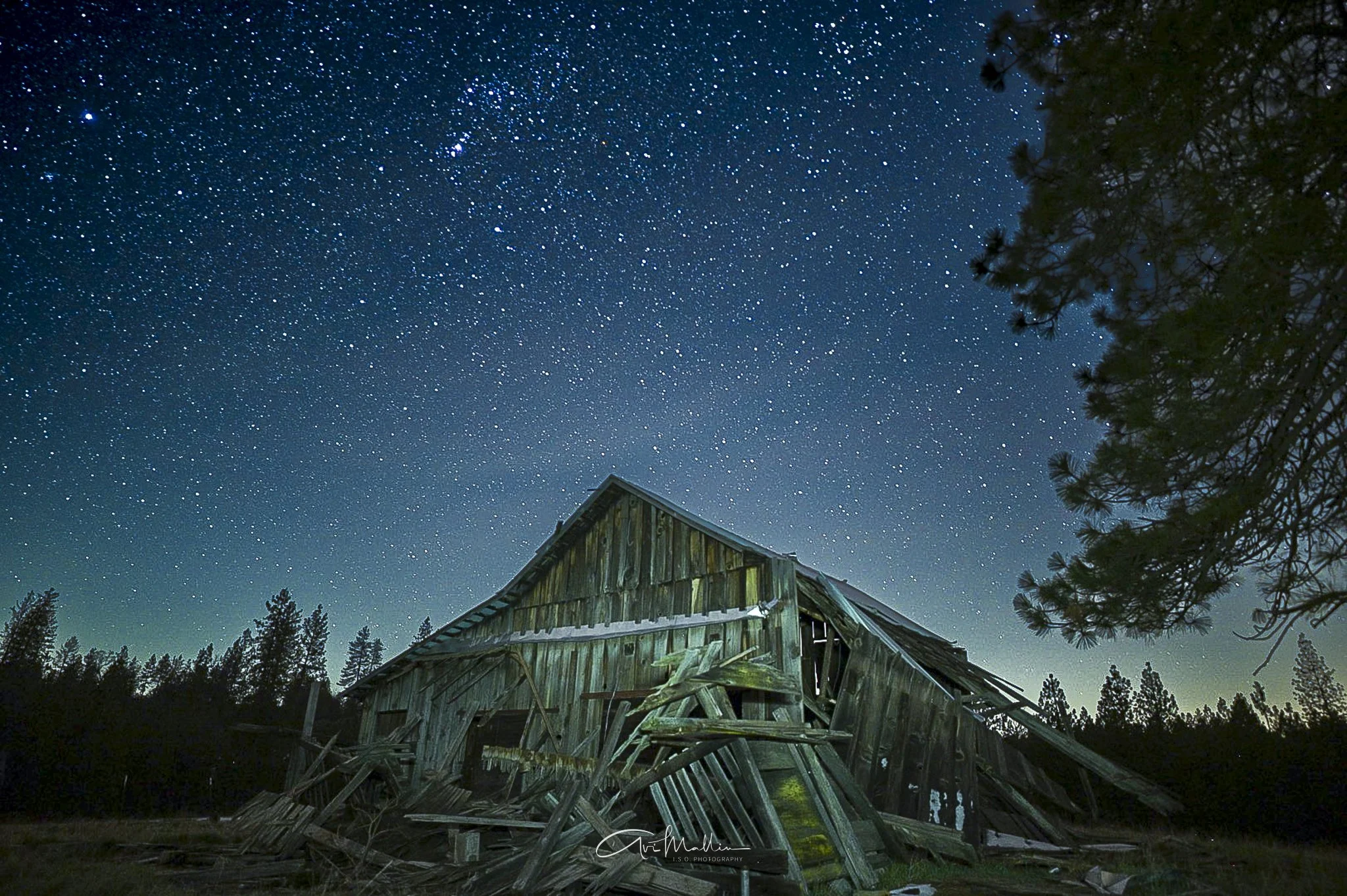 Final Closeup-31.jpg