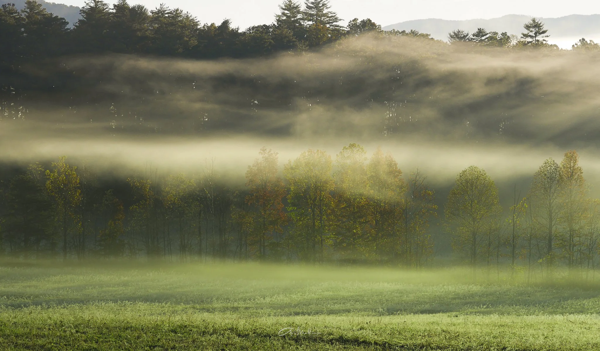 Cades Cove Smokies.jpg