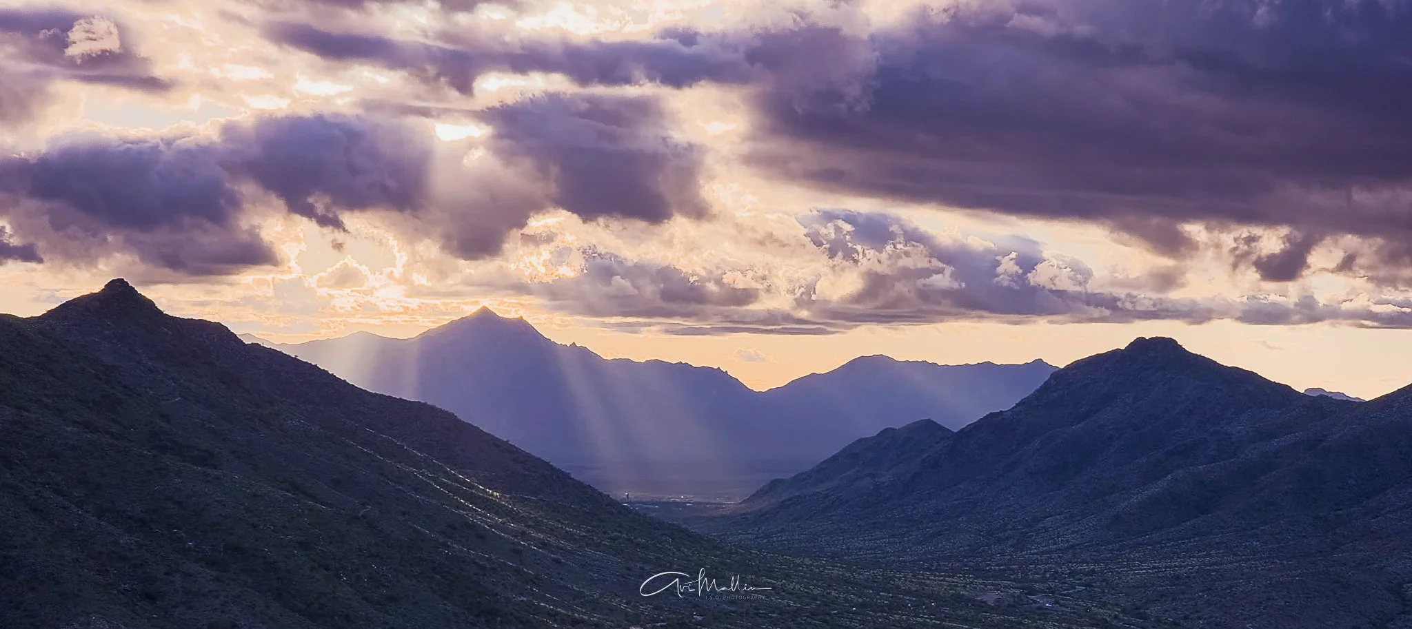 Final Closeup-48.jpg