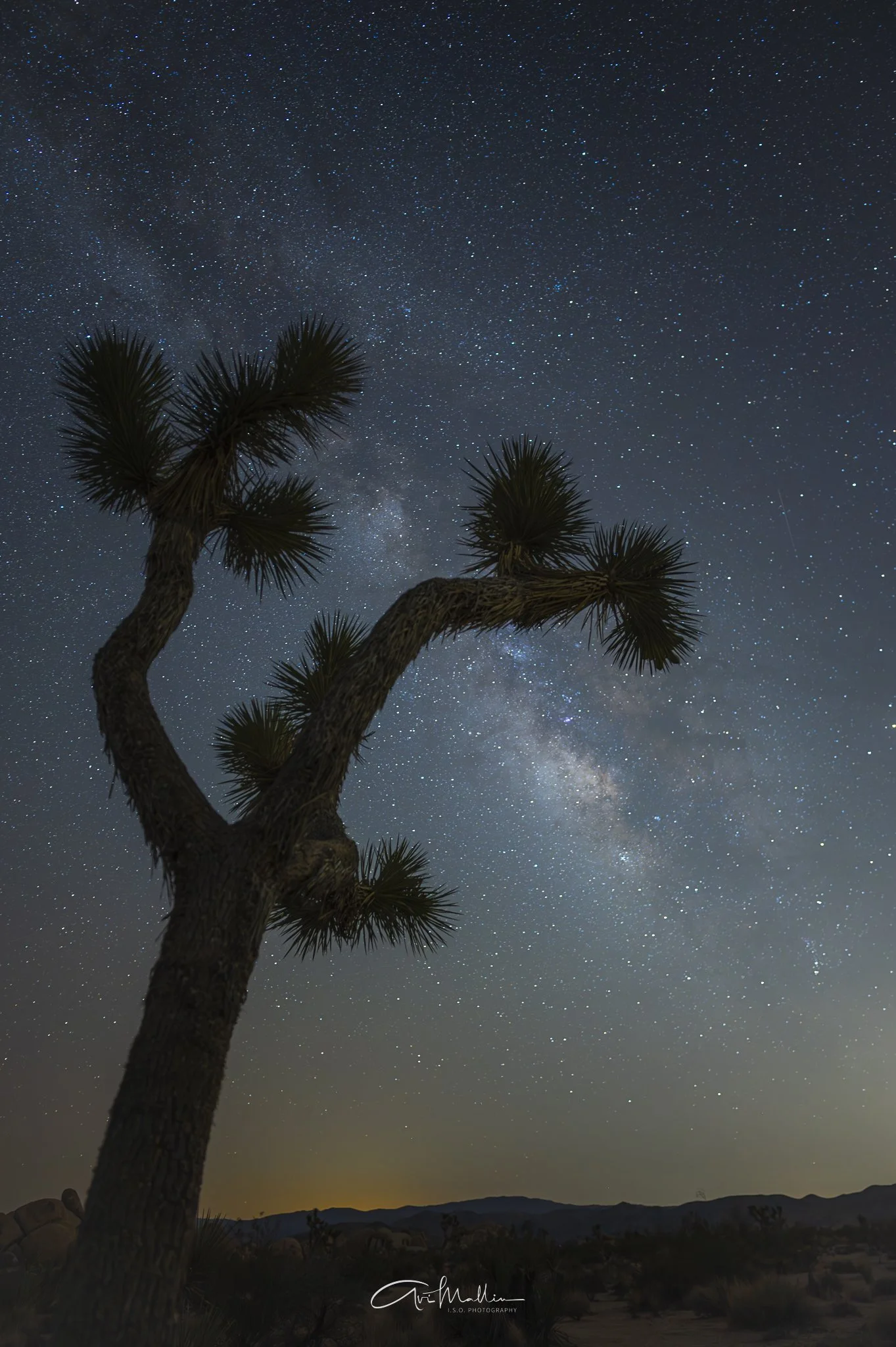 Final Closeup-33.jpg