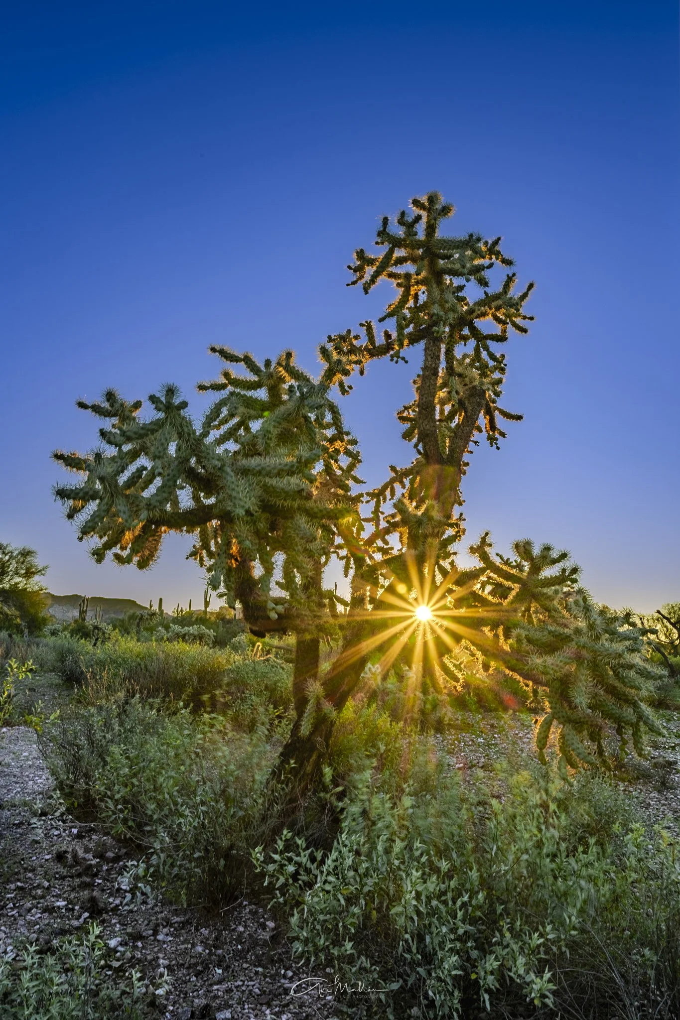 Peralta Trail Wake Up call-1.jpg
