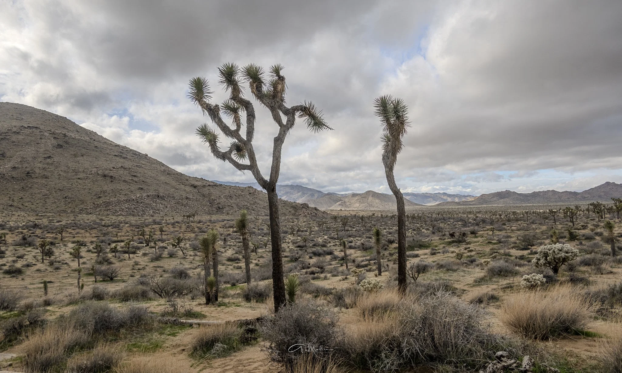 Refocus TButteSS-2.jpg