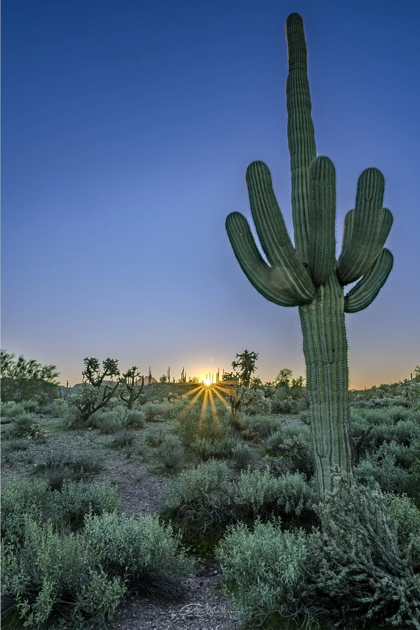 Peralta Trail Wake Up call.jpg