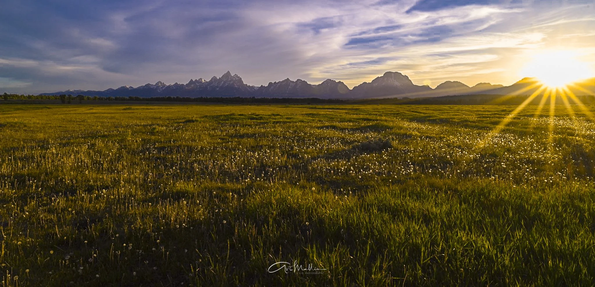 Final Closeup-19.jpg