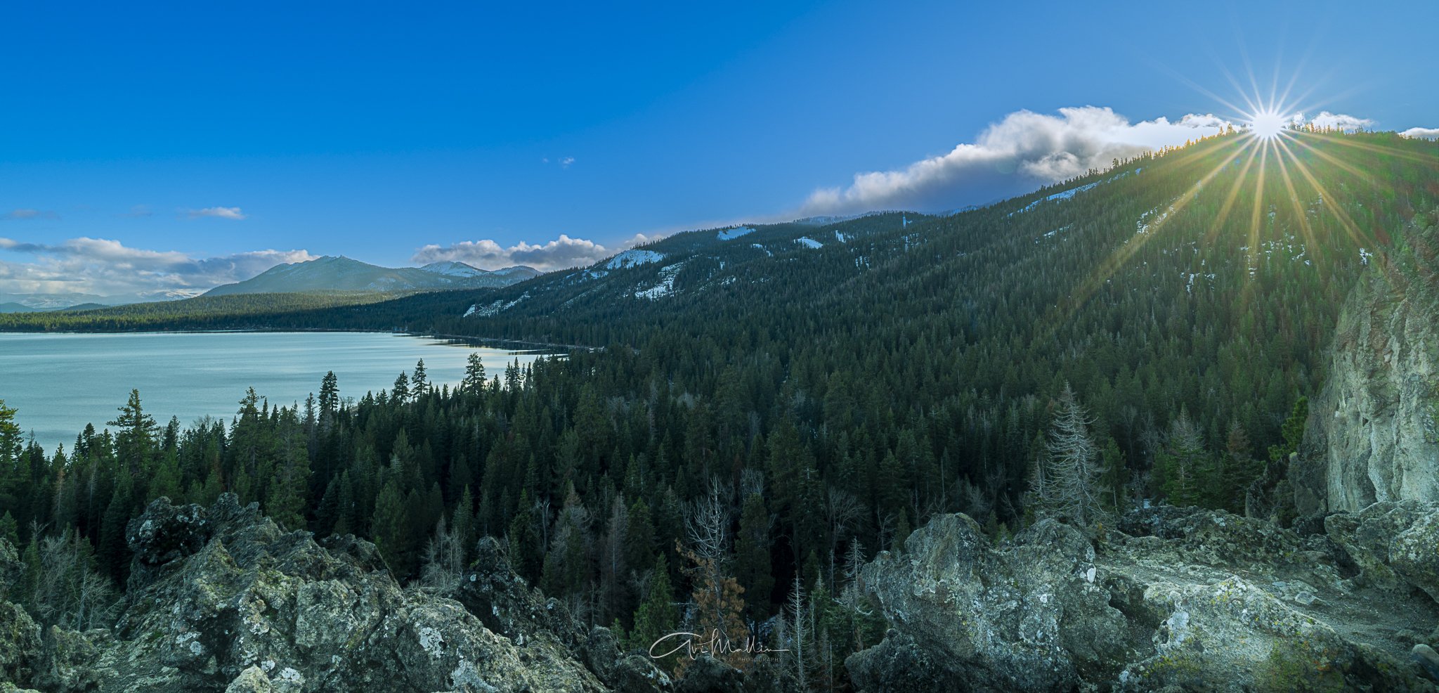 Final Closeup-11.jpg