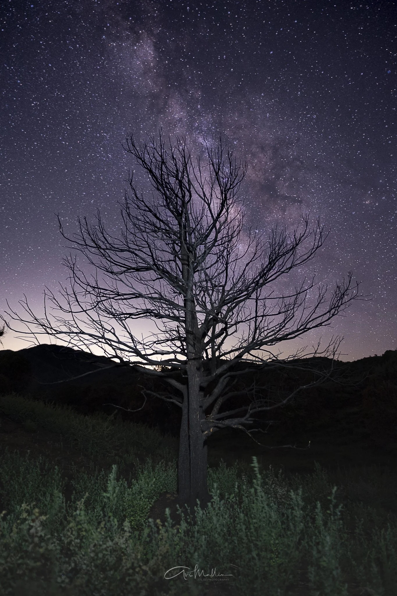 Final Closeup-10.jpg