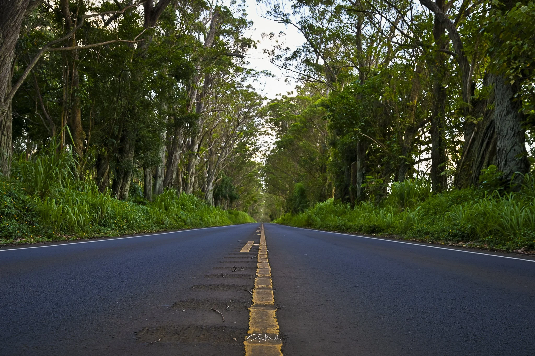 Poipu Hwy.jpg