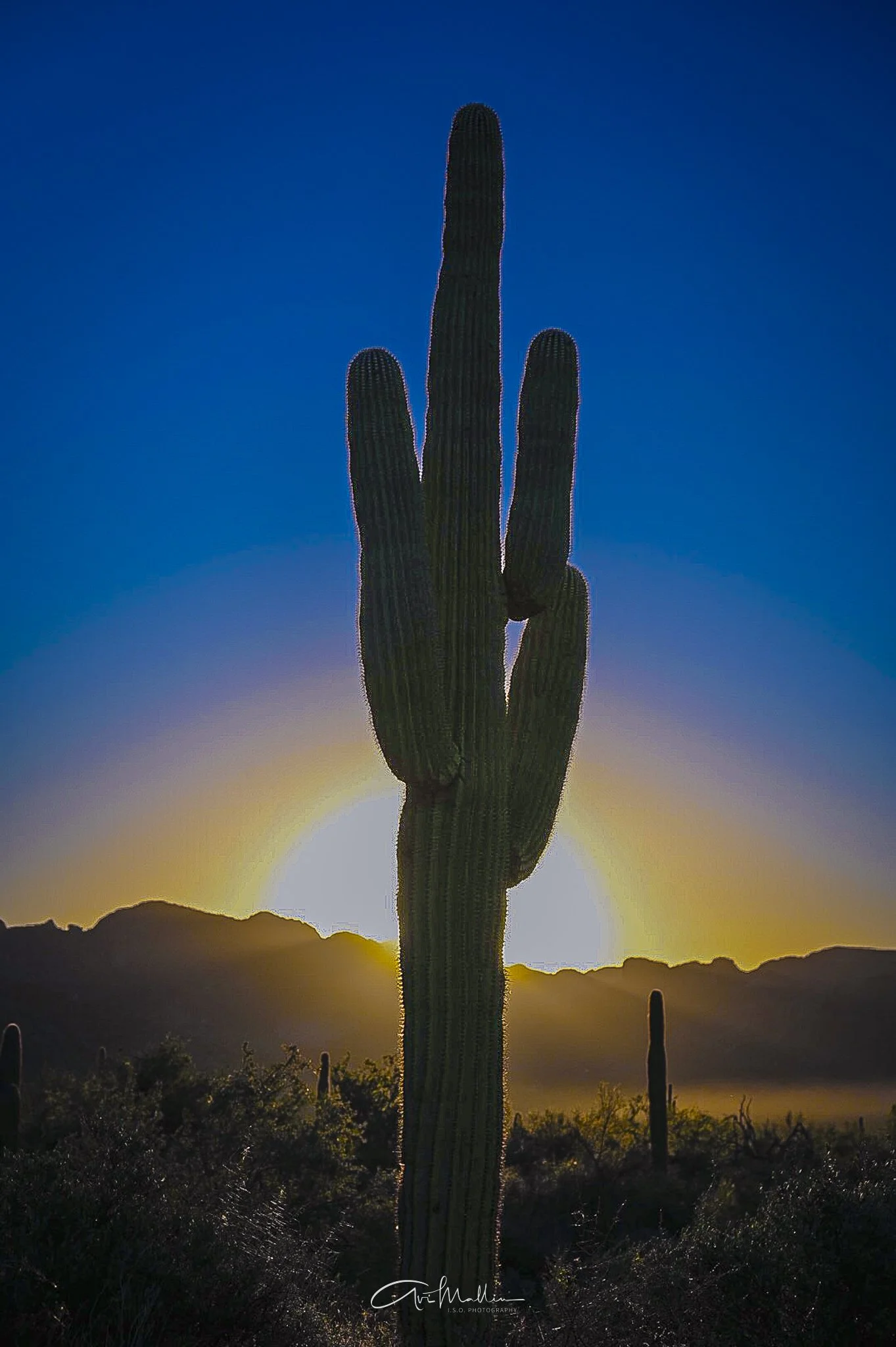 Final Closeup-29.jpg