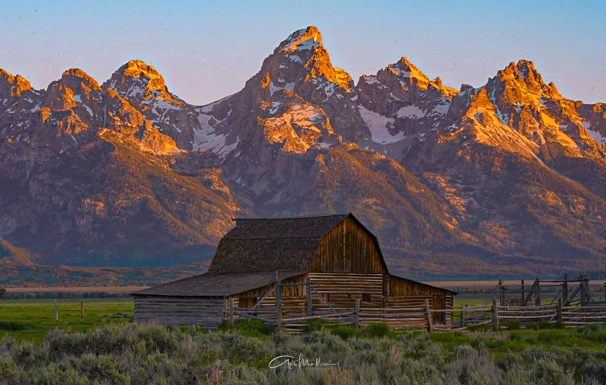 Final Closeup-18.jpg