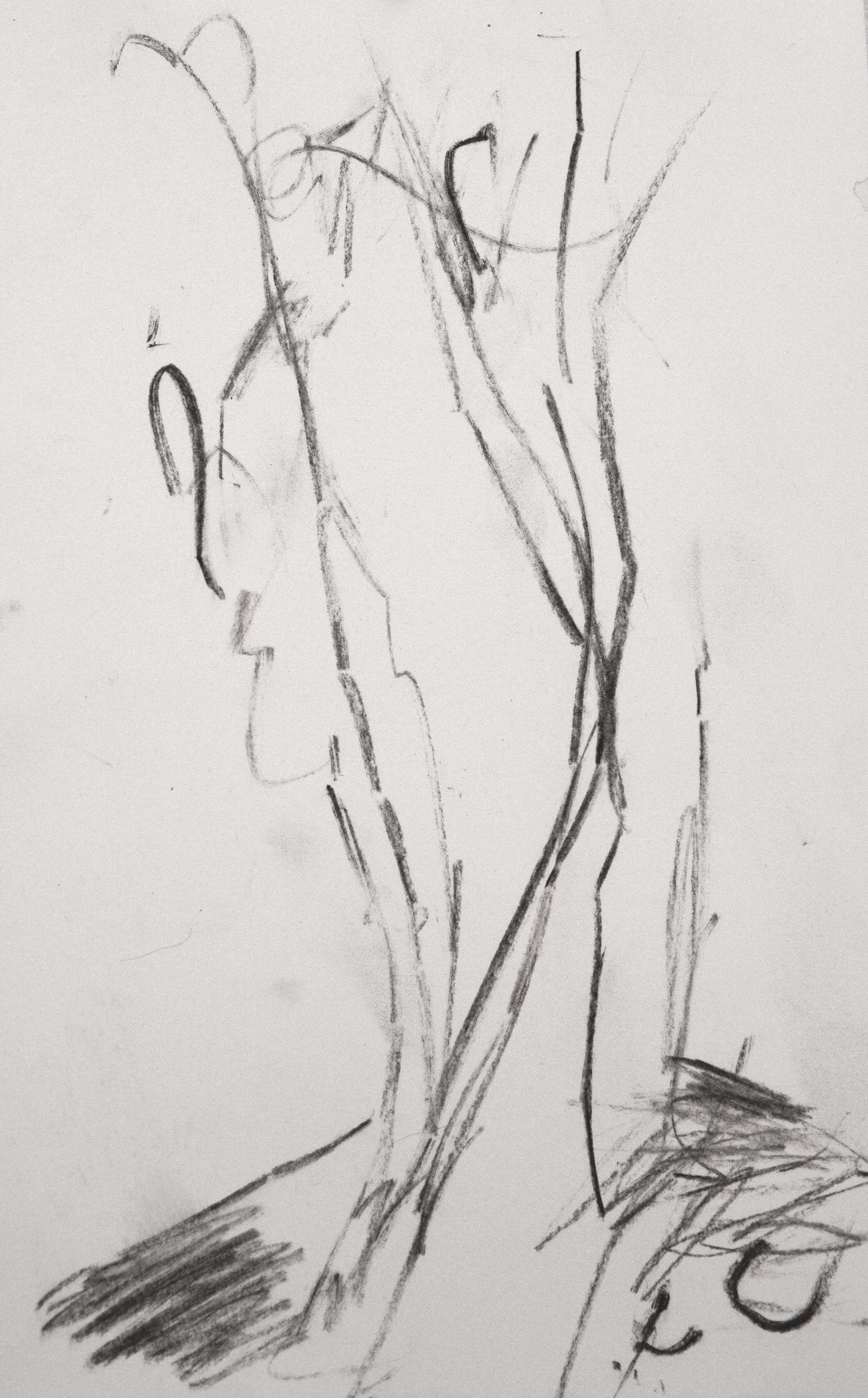 "Untitled" 2024, graphite on paper, 4 x 8 in.