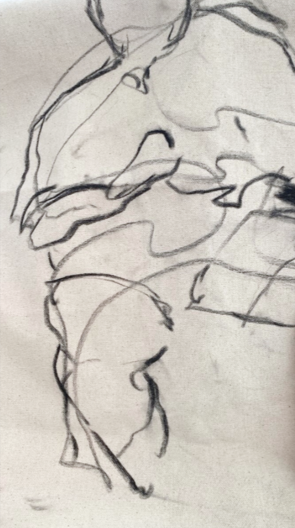 "Untitled" 2024, graphite on cotton canvas, 22 x 28 in.