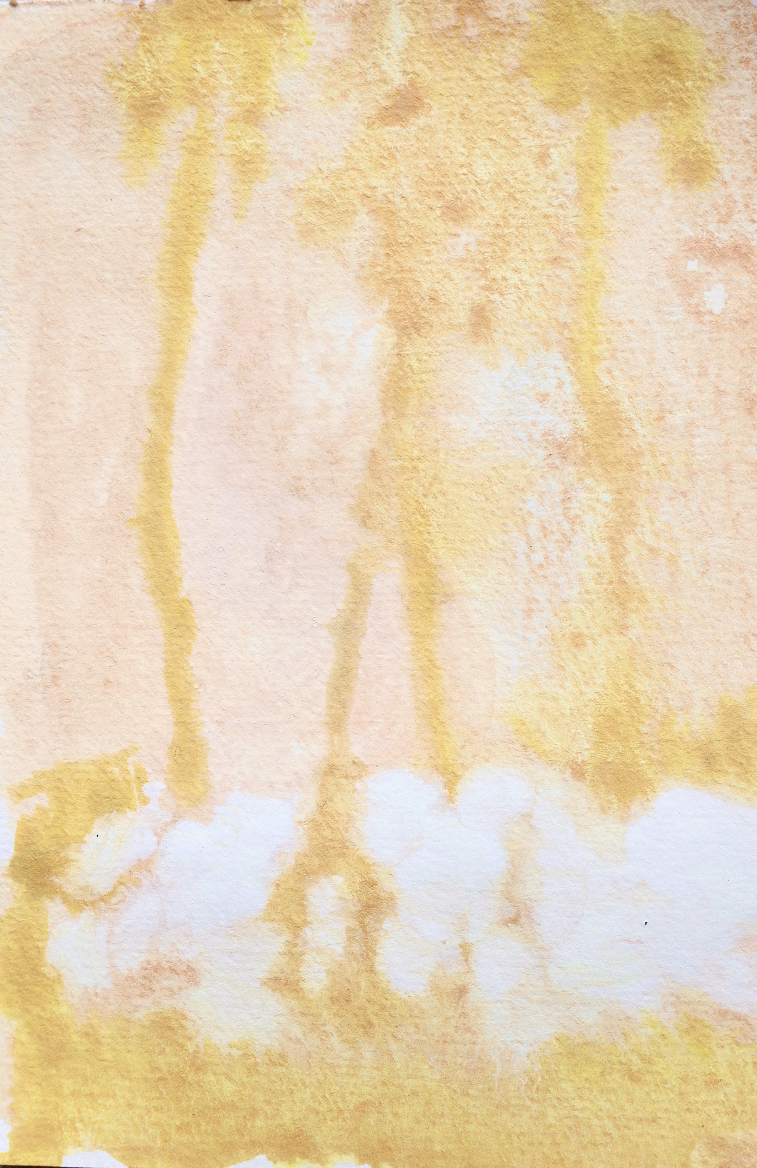 1784033400000_R0004290.jpg
