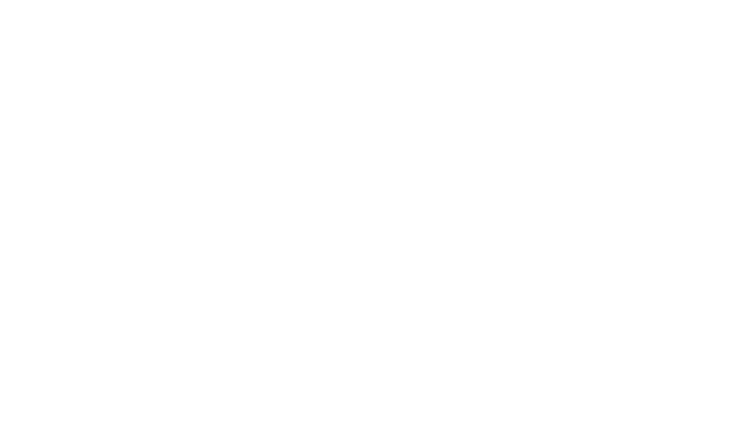 The Ritz-Carlton