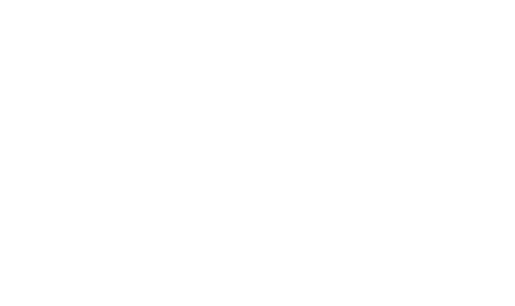Wyndham Hotels and Resorts