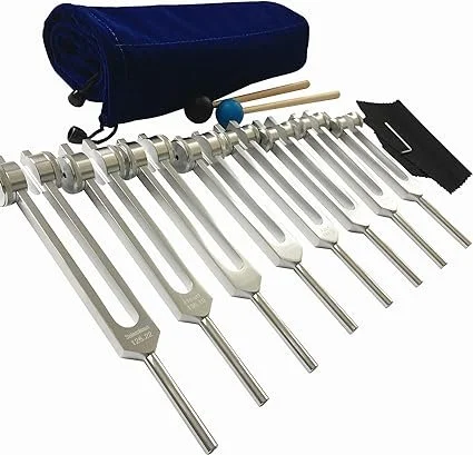 7 Chakras +1 Soul Purpose Weighted Tuning Forks with Silicone Hammer and Cleaning Cloth
