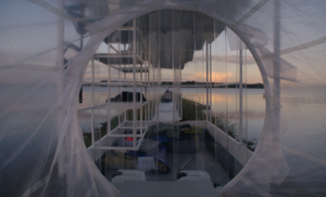 Collective Correctives #1: On/Off