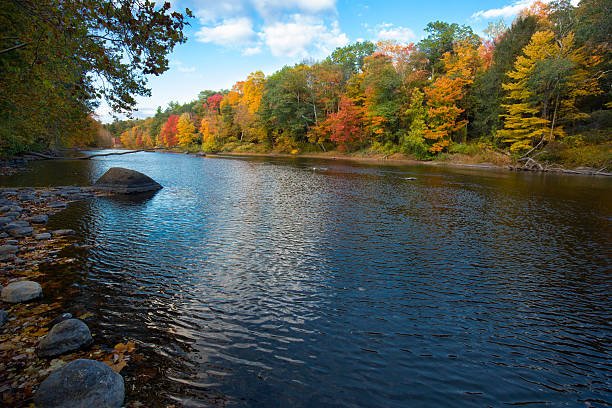 Farmington River 1.jpg