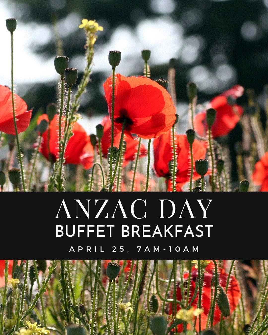 Join us this ANZAC Day for a hearty buffet breakfast at Tempo 🍳☕. Fuel up with all your breakfast favourites &ndash; coffee, eggs, fruits, pancakes, and more, all for just $38 per person.

After the pre-dawn commemorative service at Geelong RSL or t