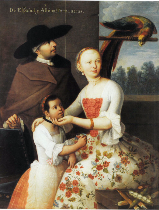 Understanding the Mexican Casta System A Historical and Cultural