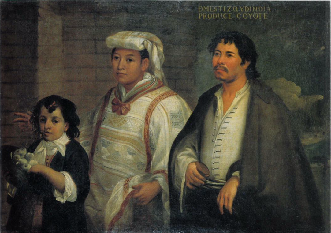 Understanding the Mexican Casta System A Historical and Cultural
