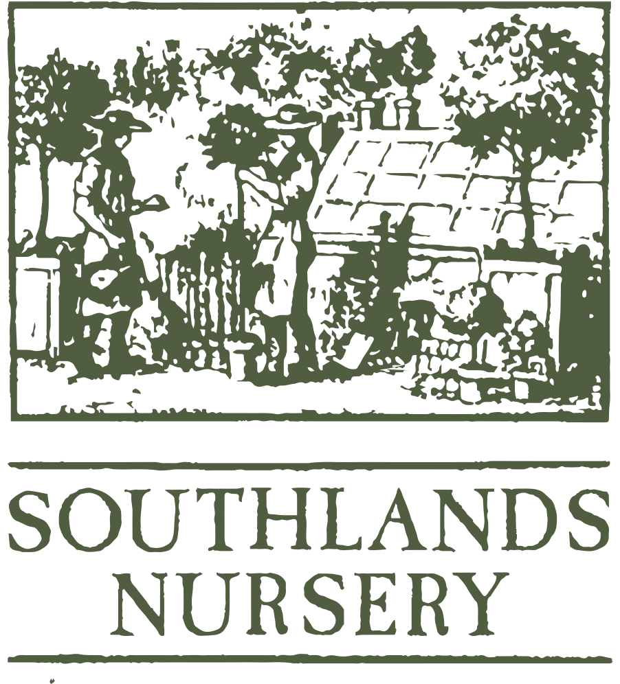 Southlands Nursery