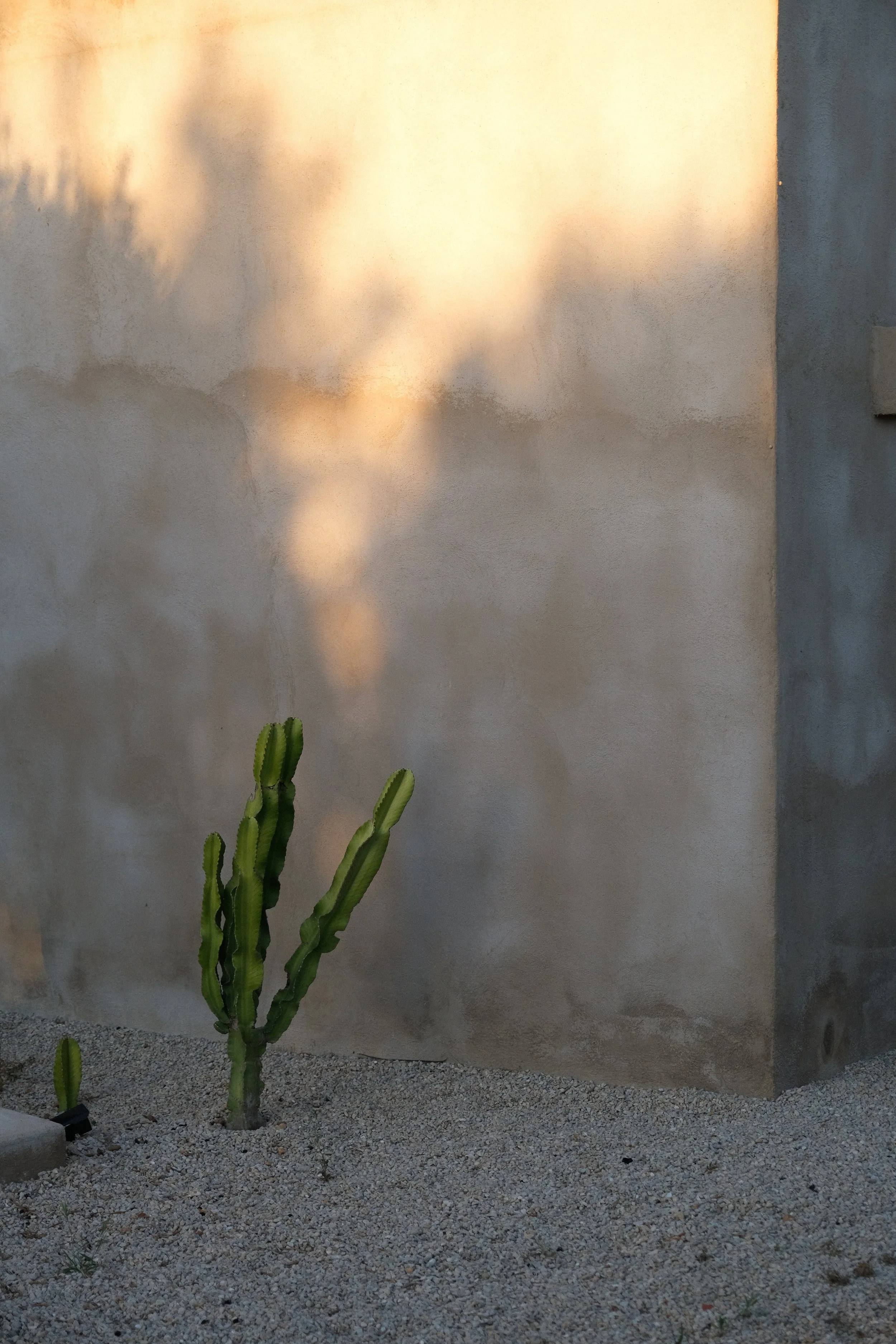 DSCF1097.jpg