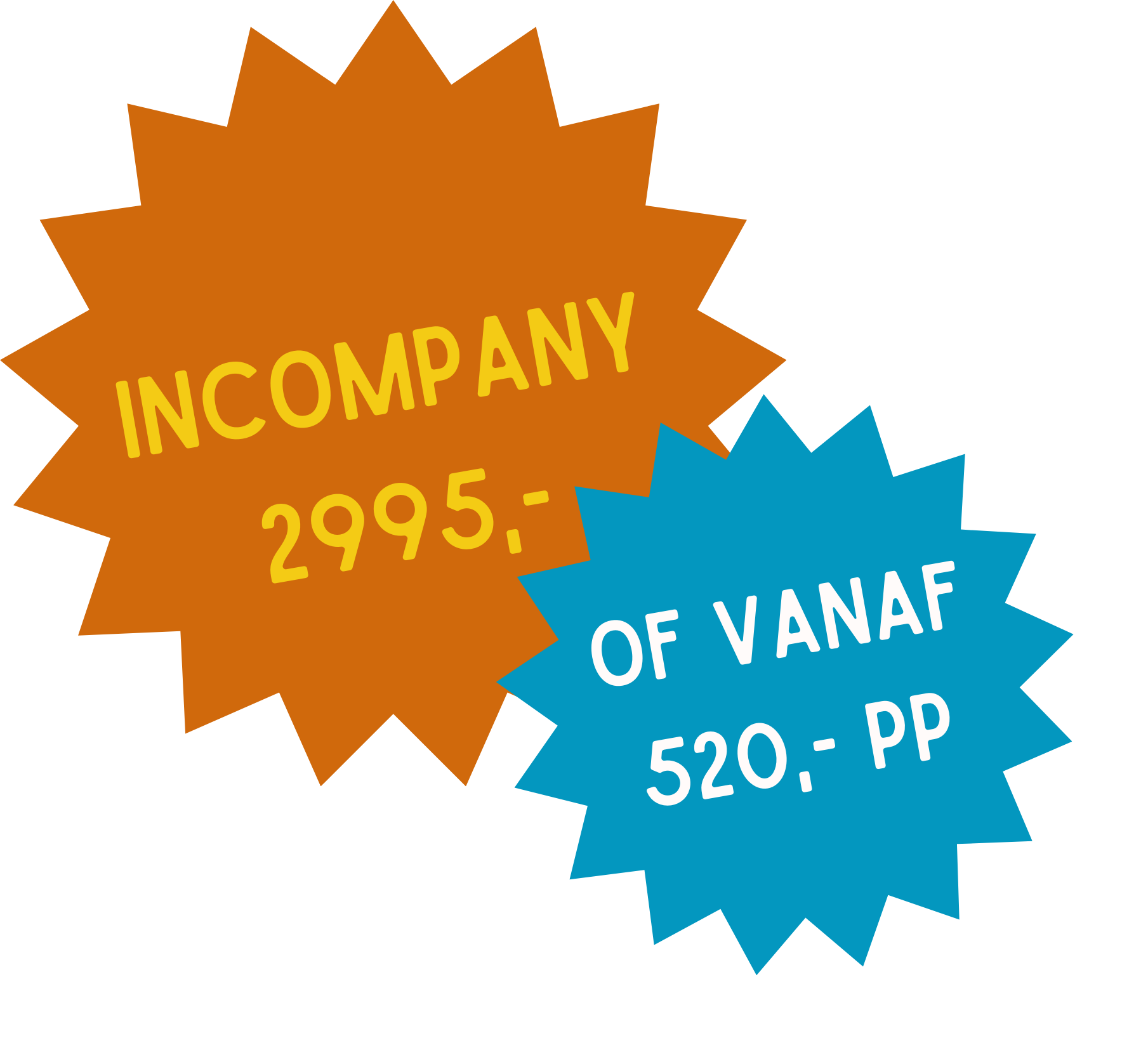 Incompany 2995 euro of vanaf 520 per persoon