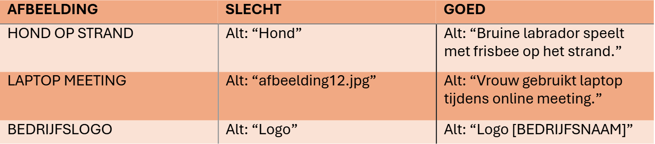 tabel waarop staat hoe het moet. Typ niet hond, maar Bruine labrador speelt met frisbee op het strand. En niet afbeelding12.jpg maar vrouw gebruikt laptop tijdens online meeting. Typ ook niet logo, maar logo bedrijfsnaam