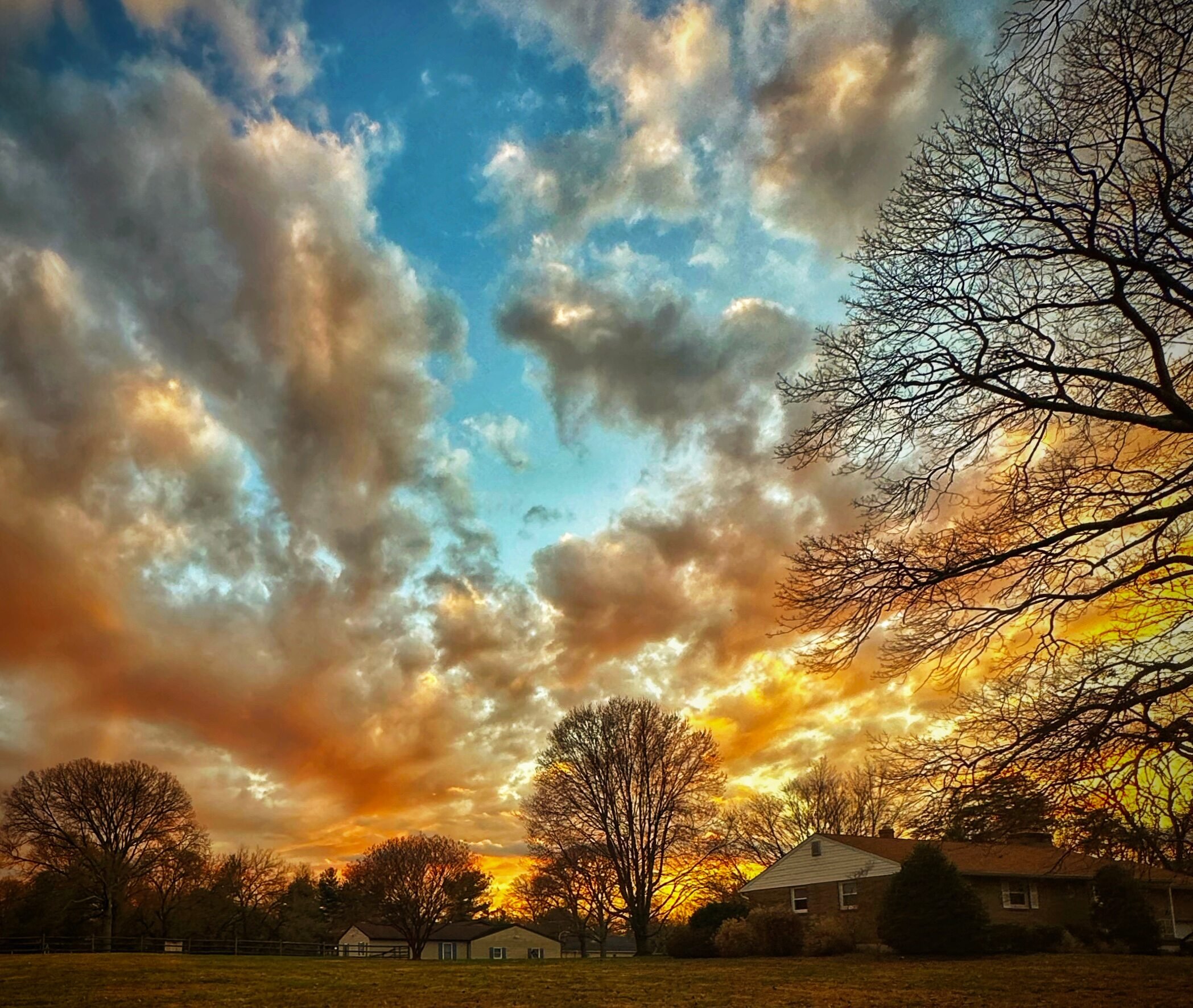 Sunset clouds and trees.jpeg