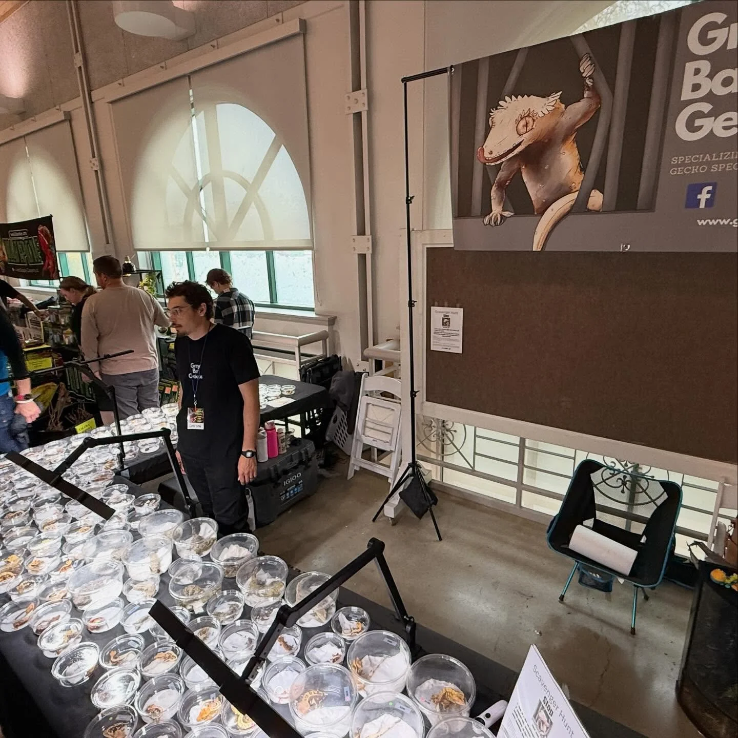 Cresties &amp; Leachies waiting for their new homes!
Come see us today and tomorrow🖤🧡
@wasatchreptileexpo 

#crestedgecko #cresties #crestedgeckosforsale
#crestedgeckosofinstagram #crestedgeckobreeder #reptile #geckos #geckosofinstagram #wasatchrep