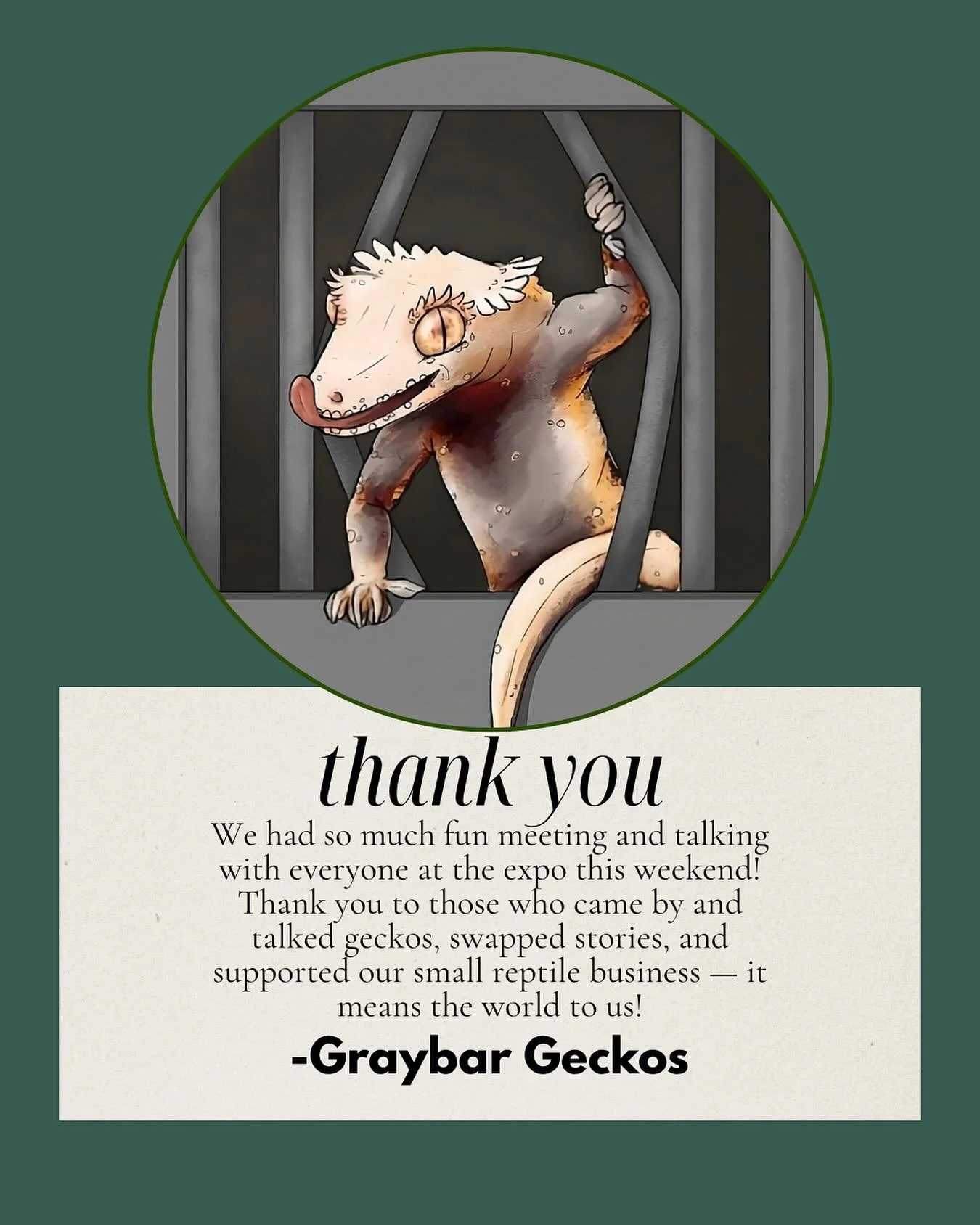 Your support means the world to us! 🦎

#reptiles #crestedgecko #correlophusciliatus  #leachianus #rachodactylusleachianus #eury #eurydactylodesvieillardi #reptileexpo #wasatchreptileexpo #wasatchreptileexpo2025