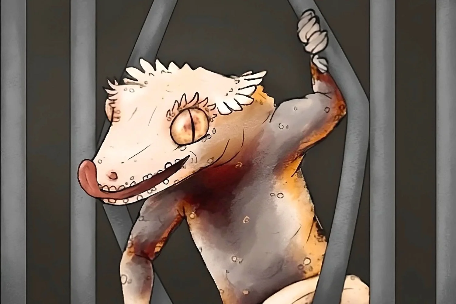 Graybar Geckos