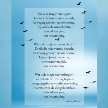 SQS gedicht 1.jpg