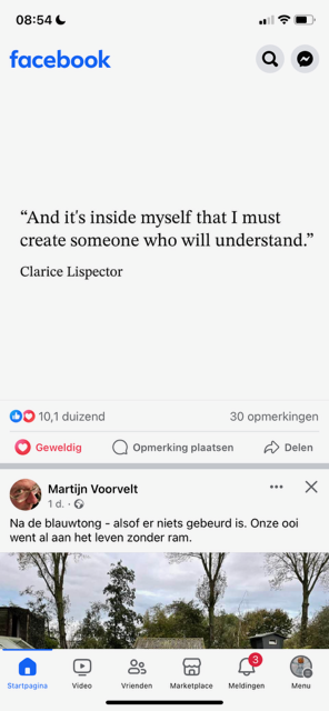 Photo of a facebook post. Quote Clarice Lispector: "And it's inside myself that I must create someone who will understand." Heart emoticon clicked.