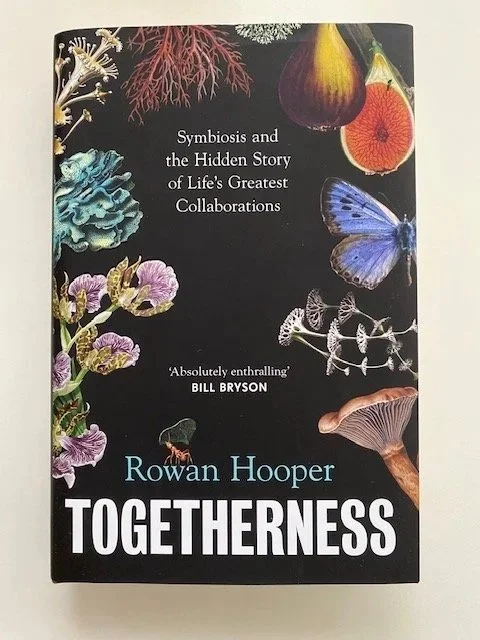 Book with black cover and white text, and vibrant pictures of little mystical creatures like  mushrooms, figs and butterflies.